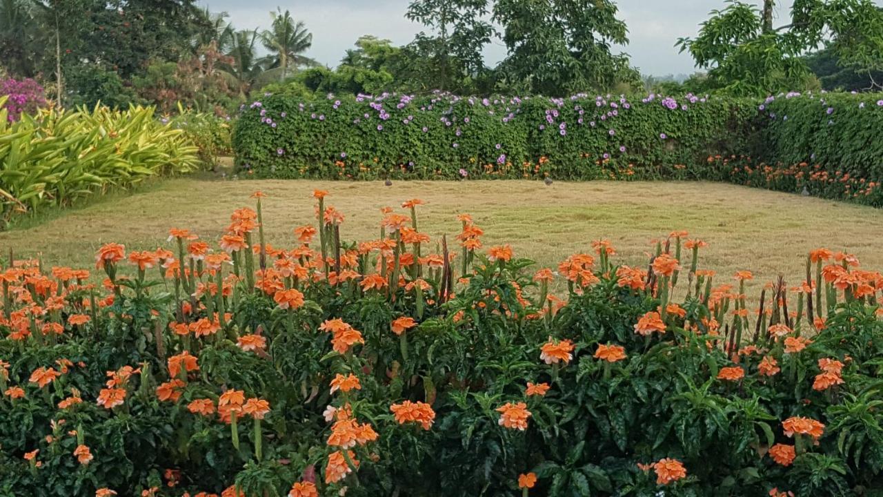 Ubud Wana Resort Buitenkant foto